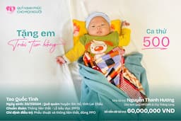 TẶNG EM TRÁI ❤️ HỒNG SỐ 500